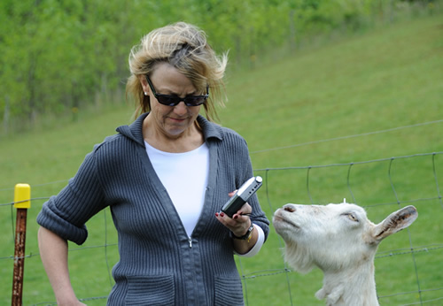 Katherine Leiner interviewing a goat