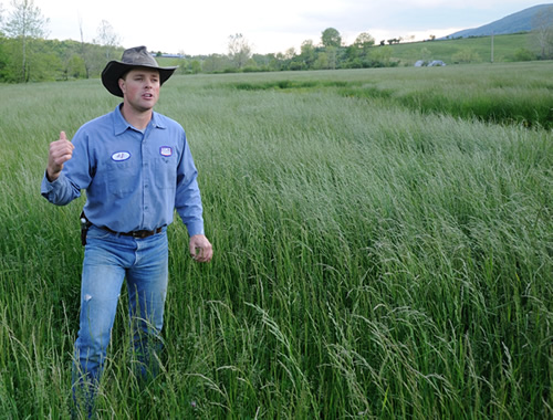 Daniel Salatin in his field of green